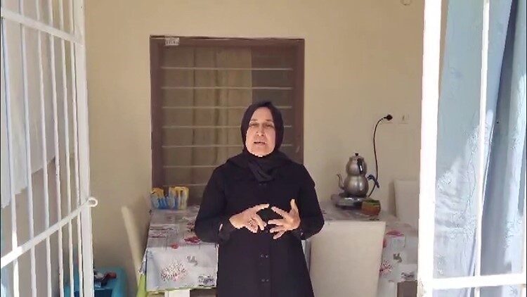 Adana’nın Pozantı ilçesinde yayla evinin önünde sokak köpeklerini besleyen veterineri