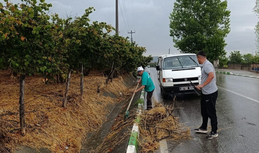 DÜZCE(İHA) – Düzce’nin Çilimli ilçesinde yol kenarlarında bulunan ve kuruyan
