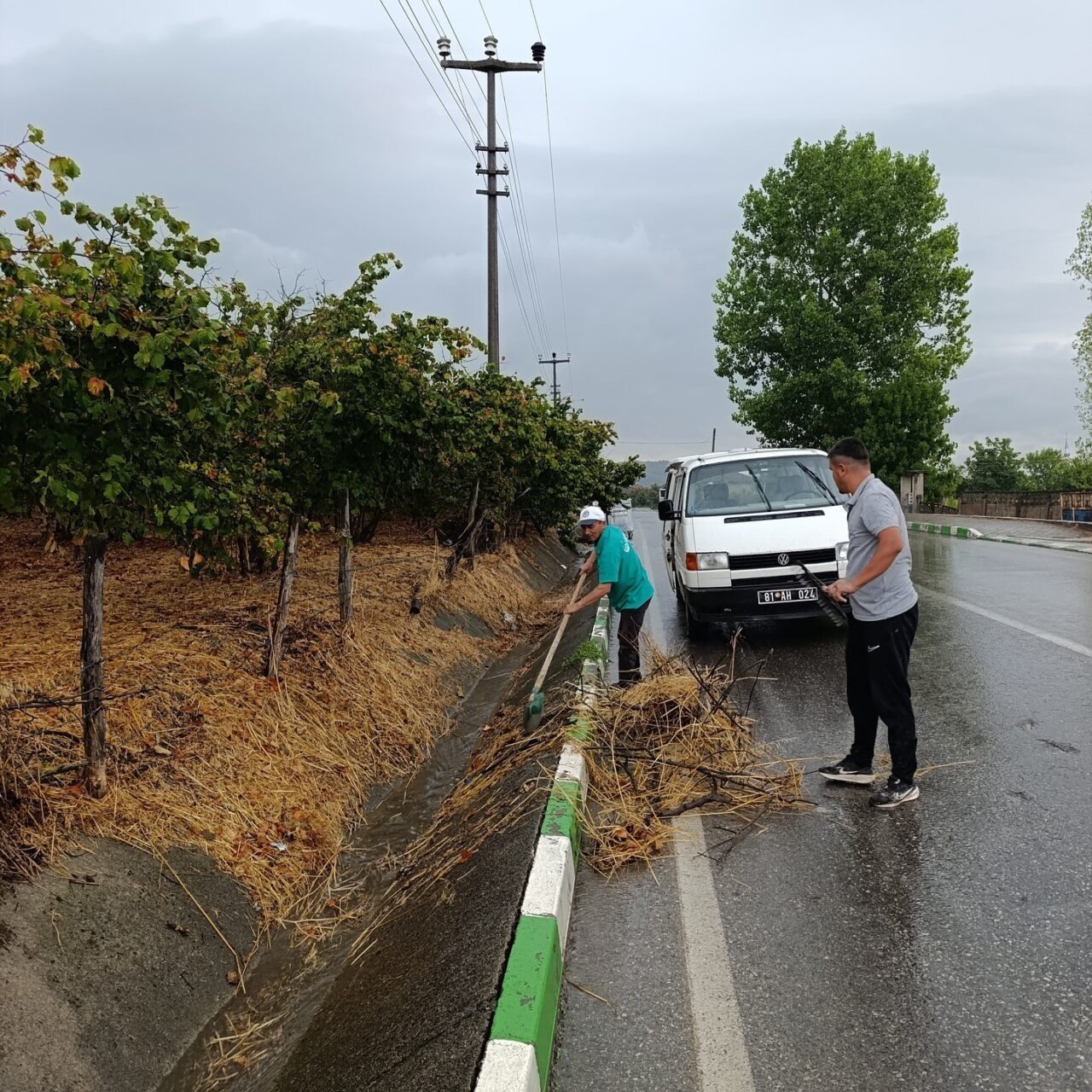 DÜZCE(İHA) – Düzce’nin Çilimli ilçesinde yol kenarlarında bulunan ve kuruyan