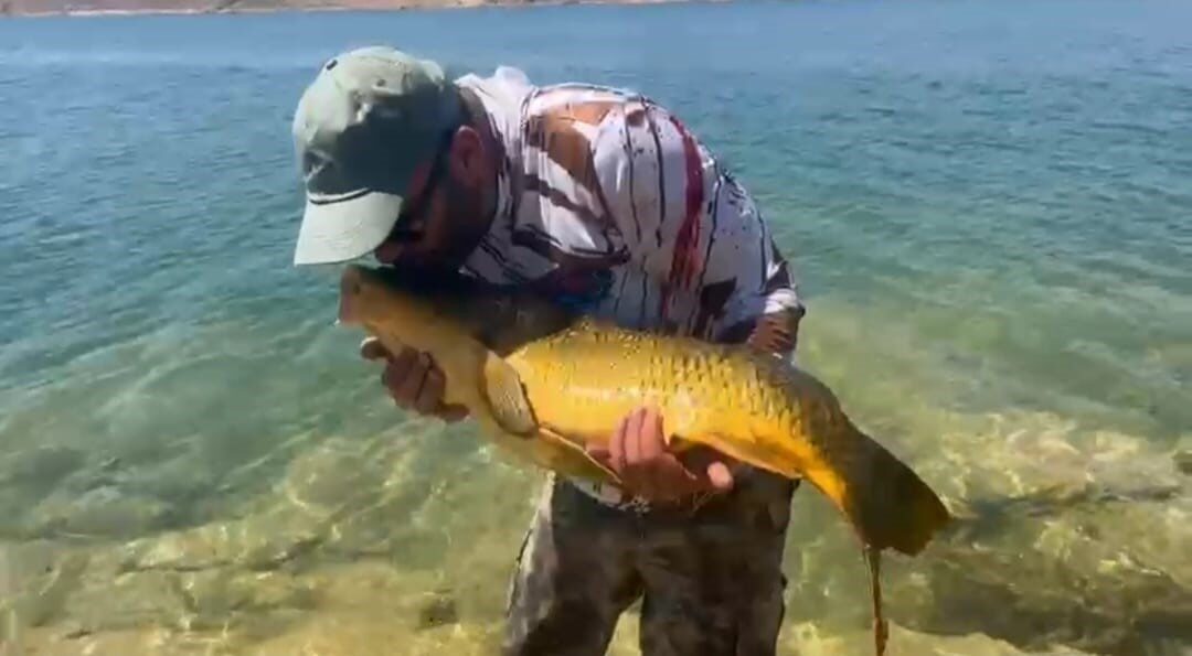 Elazığ’da amatör balıkçı Murat Şimşek, Keban Barajı’nda yakaladığı yaklaşık 15