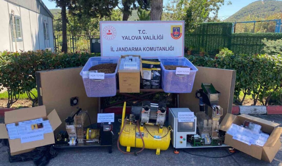 Yalova’da düzenlenen kaçak tütün operasyonunda gözaltına alınan 2 şüpheliden biri