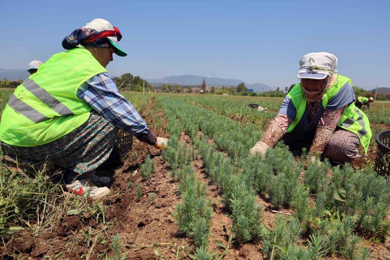 Yangına en hassas iller arasında yer alan ve 2021-2022 yıllarında