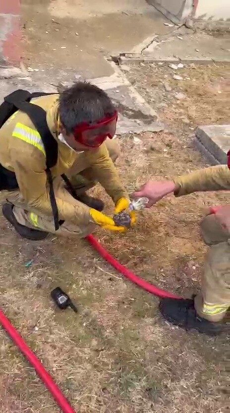 Çanakkale’de yangından etkilenen kirpiye orman işçileri su içirdi. Çanakkale’de Merkez