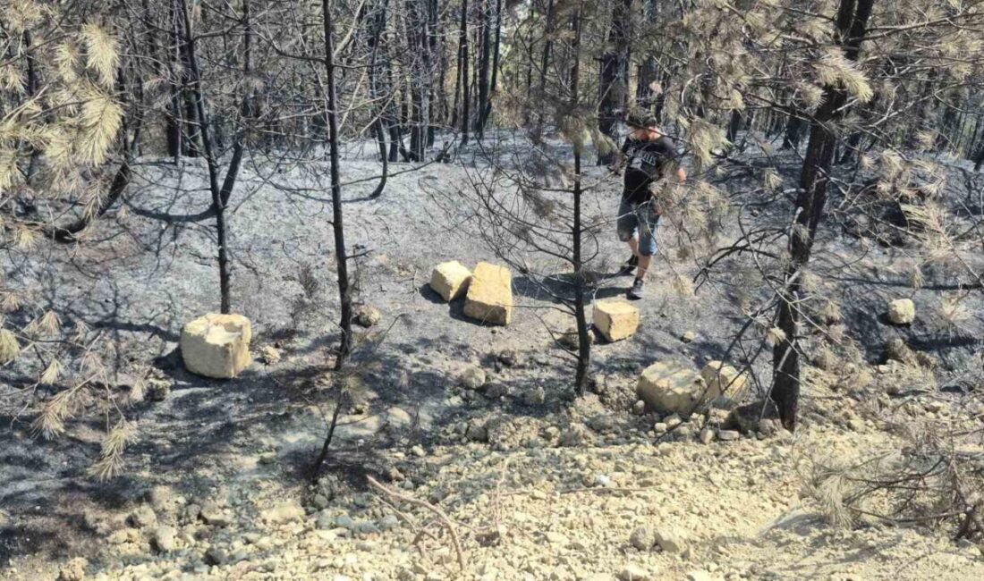 Yangının yol açtığı tahribat havadan görüntülendi Bartın’ın Kayadibi Çavuş köyündeki orman yangınında tahribat havadan çekilen görüntülerde
