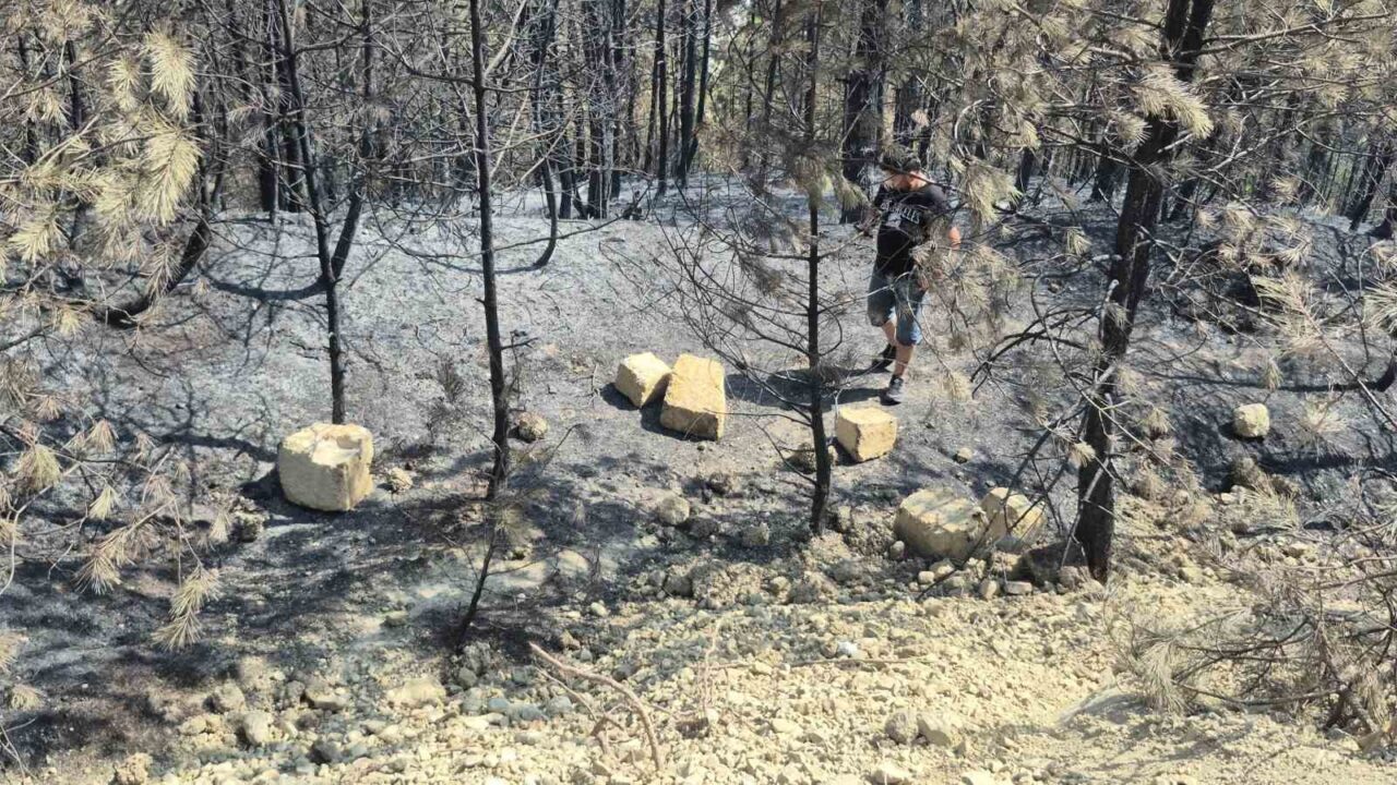 Bartın’ın Kayadibi Çavuş köyündeki orman yangınında tahribat havadan çekilen görüntülerde