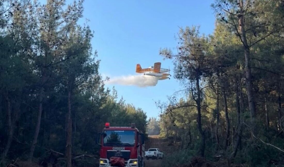 Orman Genel Müdürü Bekir Karacabey, 1 Ocak-17 Ağustos tarihleri arasında