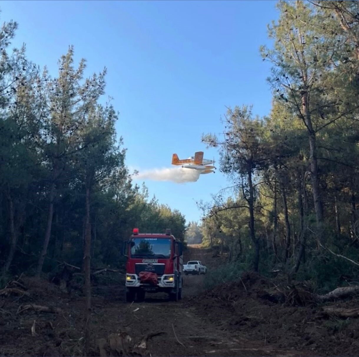 Orman Genel Müdürü Bekir Karacabey, 1 Ocak-17 Ağustos tarihleri arasında