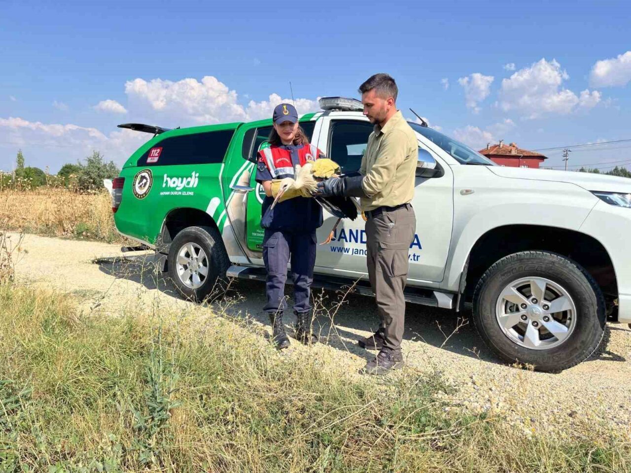 DENİZLİ (İHA) – Uşak’ta tarla içerinde yaralı ve uçamaz halde