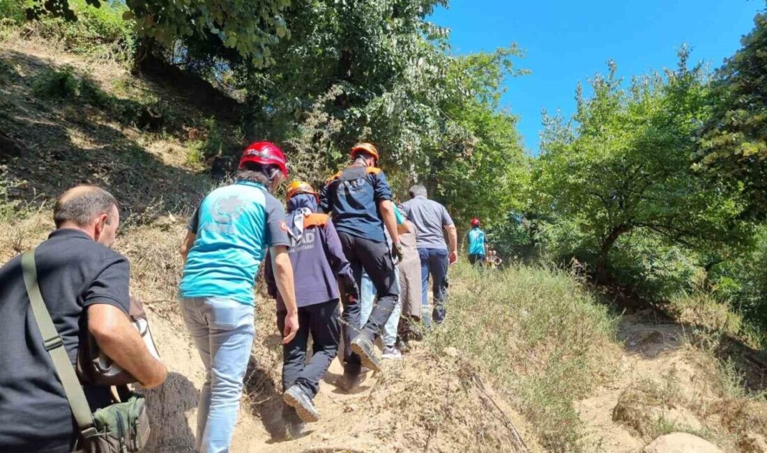 Yalova’nın Termal ilçesinde yaşadığı dağlık bölgede rahatsızlanan yaşlı kadın, ambulansın