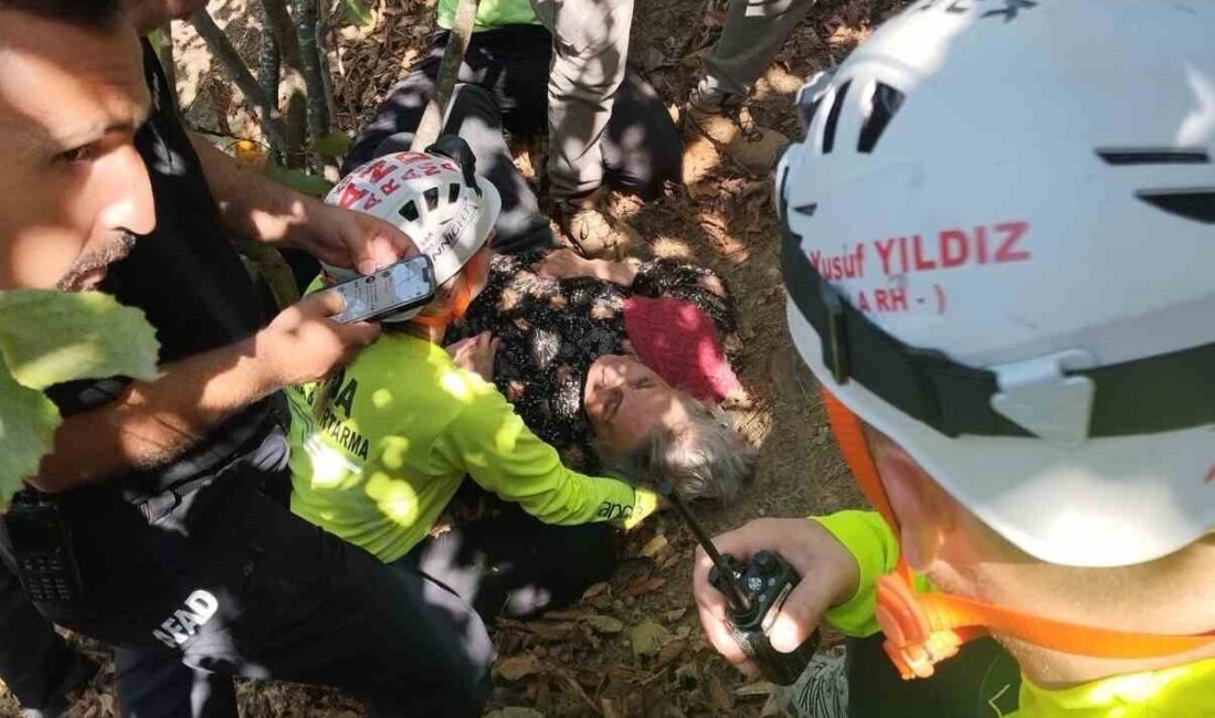 Düzce’de 3 gün önce kaybolan Alzheimer hastası kadın evinden 3