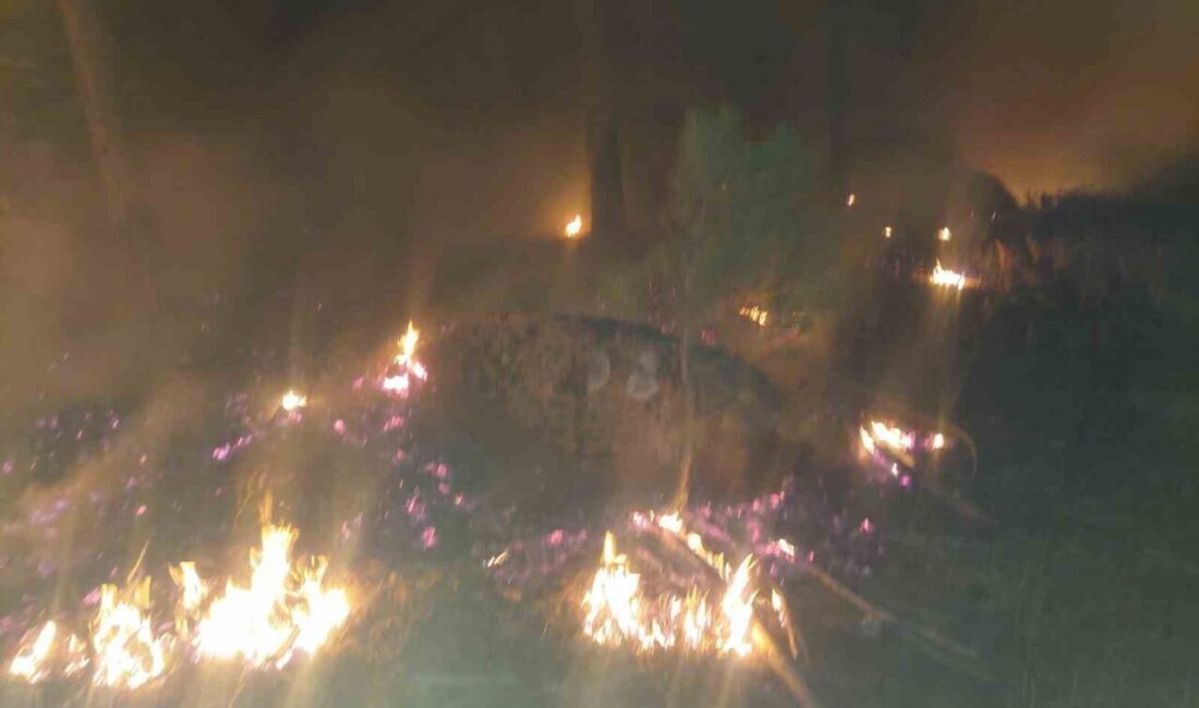 Muğla’nın Yatağan ilçesinde çıkan orman yangını ekiplerin yoğun müdahaleleri sonucu