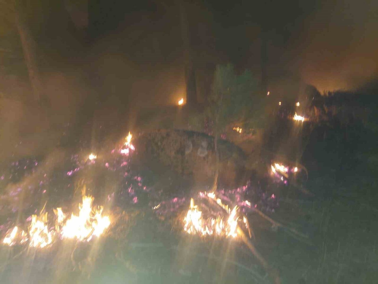 Muğla’nın Yatağan ilçesinde çıkan orman yangını ekiplerin yoğun müdahaleleri sonucu