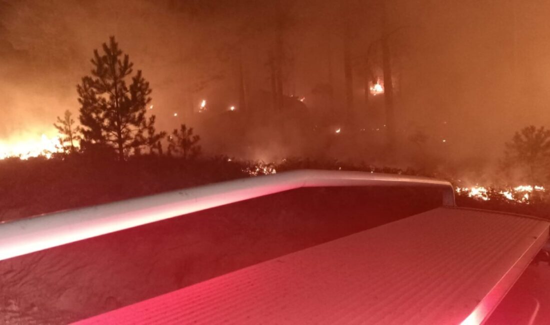 Muğla’nın Yatağan ilçesine bağlı Hacıveliler Mahallesi’nde orman yangını çıktı. Yatağan