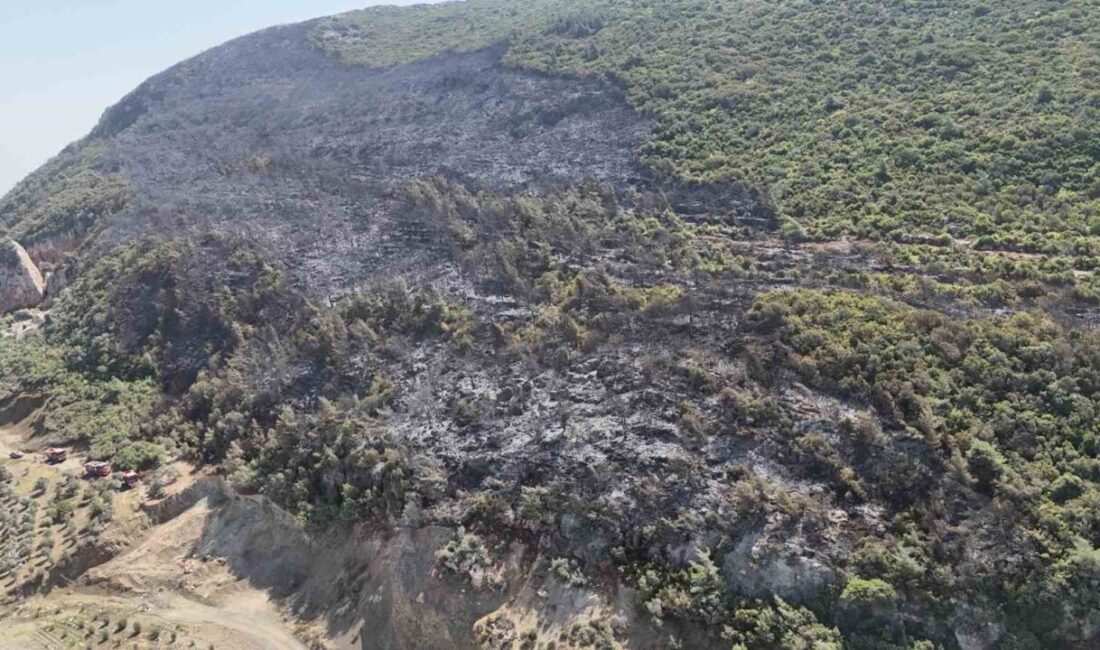 Hatay’ın Yayladağı ilçesinde çıkan orman yangını 14.saatte kontrol altına alındı.