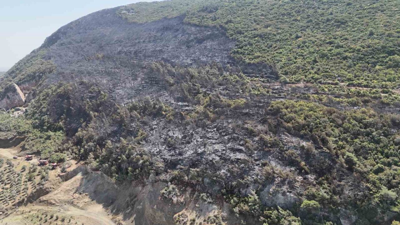 Hatay’ın Yayladağı ilçesinde çıkan orman yangını 14.saatte kontrol altına alındı.