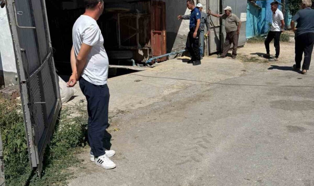 Eskişehir’de yem kırma makinesine düşerek ağır yaralanan işçi tedavi altına