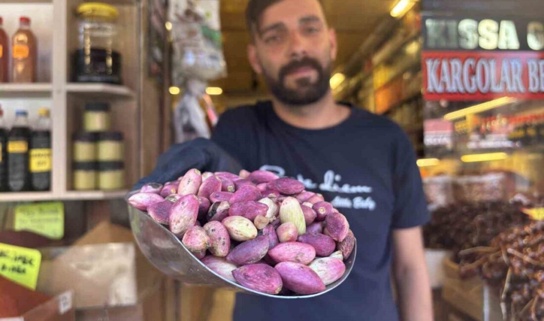 Gaziantep’te Antep fıstığı hasadı başlarken, taze ben fıstıklar da tezgahlardaki