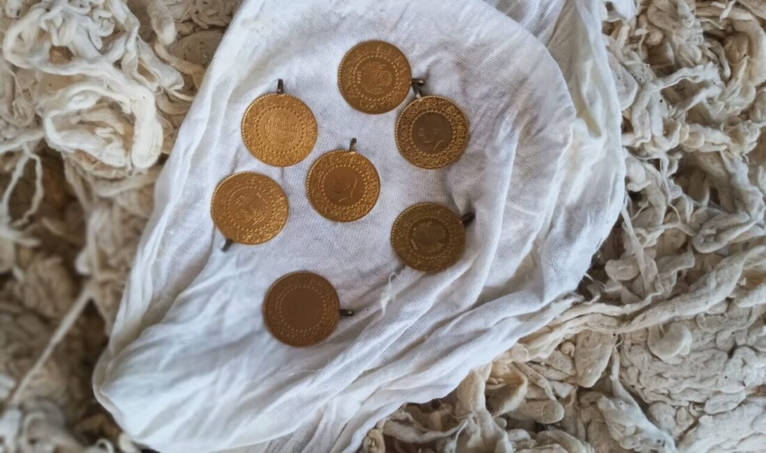 Kahramanmaraş’ta yenilenmesi için getirilen yastıktaki yünün içinden 7 adet Cumhuriyet