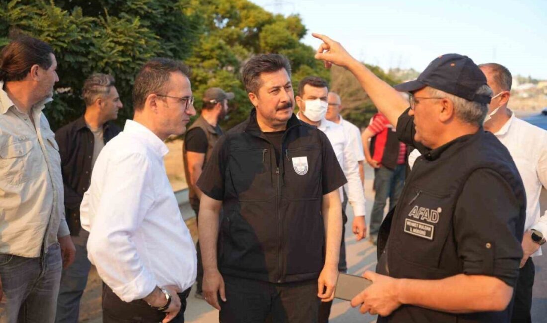 Bursa’nın Yenişehir ilçesi Marmaracık Mahallesinde çıkan yangında 100 hektarlık alan