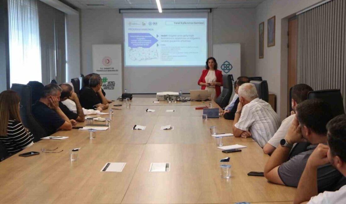 Sanayi ve Teknoloji Bakanlığı Kalkınma Ajansları Genel Müdürlüğü koordinasyonunda faaliyetlerini