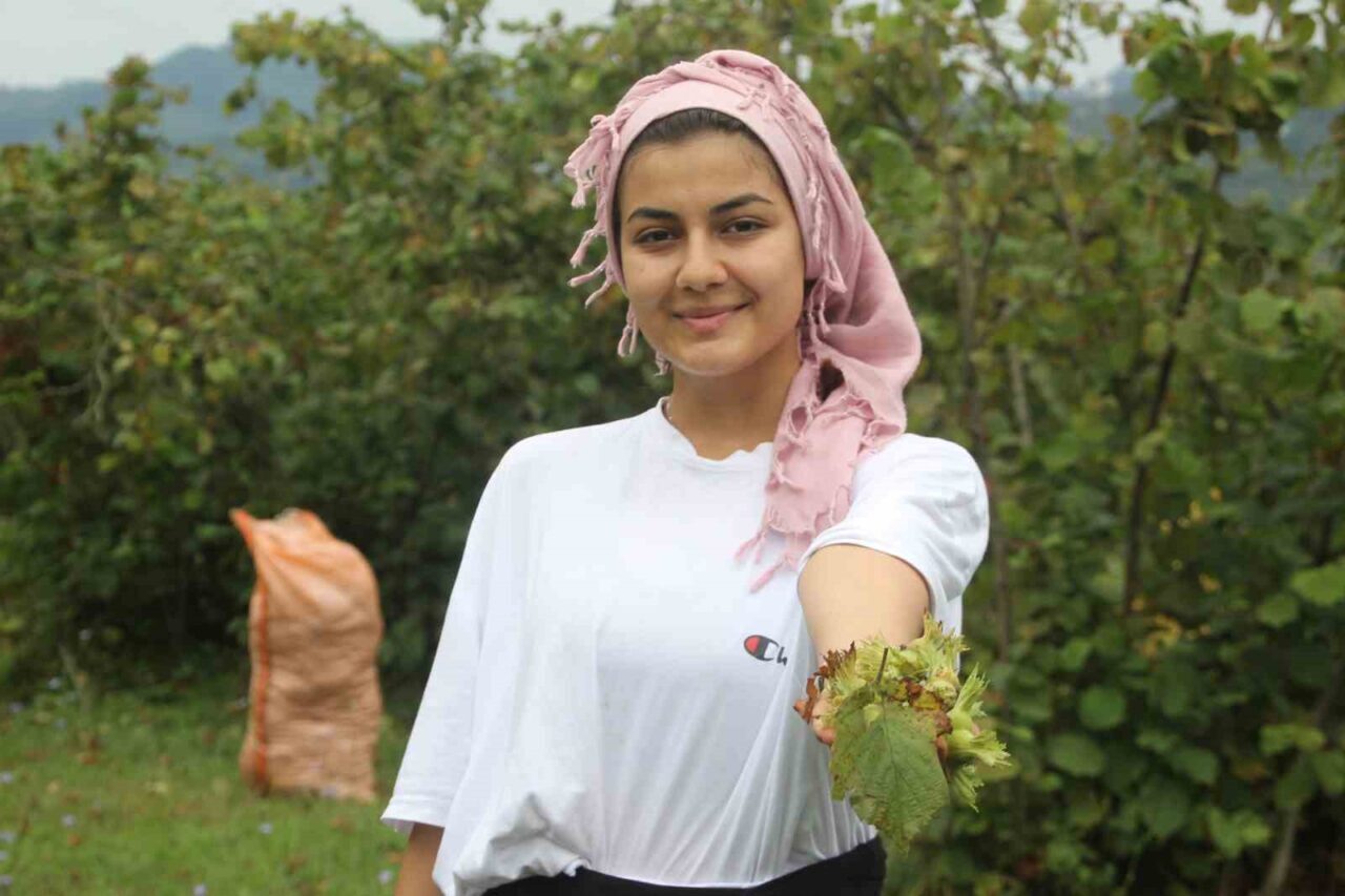 Karadeniz Bölgesi’nin en önemli geçim kaynağı olan ve ‘yeşil altın’