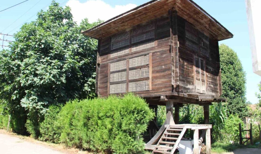 Samsun’un Çarşamba ilçesi Kirazlıkçay Mahallesi’nde yaklaşık 150 yıllık geçmişe sahip