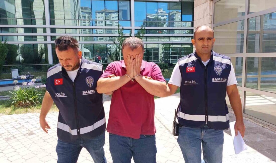 Yol kenarında otlayan ineği çalıp sattı Samsun’un Tekkeköy ilçesinde bir kişi, yol kenarında otlayan ineği çalıp