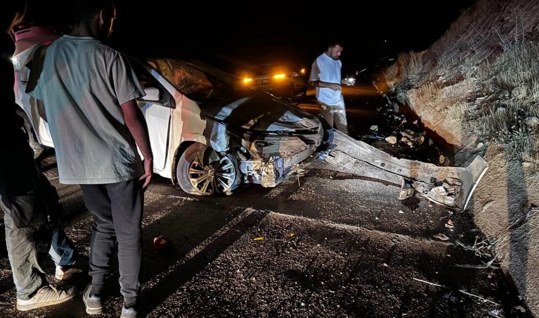 Elazığ-Bingöl Karayolu Kurudere mevkiinde yola çıkan hayvana çarpmamak için manevra