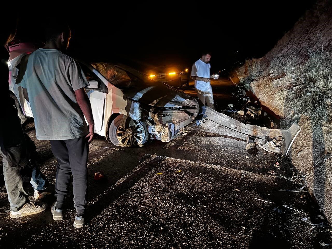 Elazığ-Bingöl Karayolu Kurudere mevkiinde yola çıkan hayvana çarpmamak için manevra