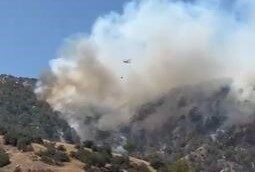 DENİZLİ (İHA) – Denizli – Aydın il sınırlarında üç gündür