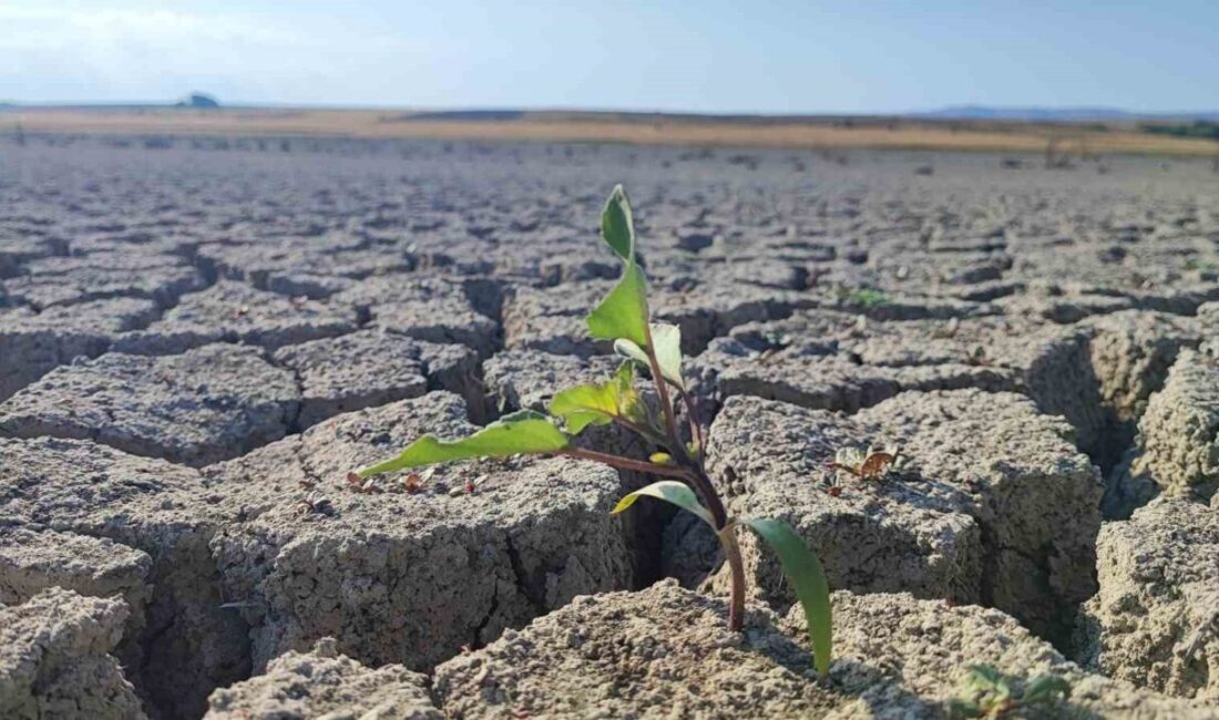 Yozgat’ın önemli su kaynaklarından Gelingüllü Barajı’nda su seviyesi geçtiğimiz yıllara