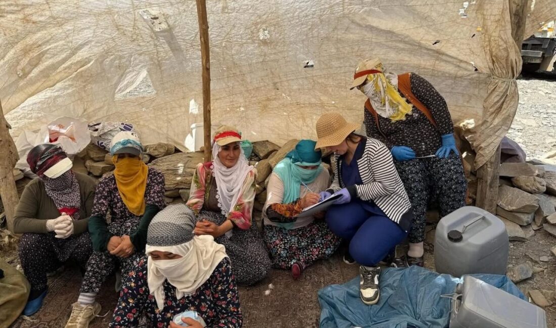 HAKKARİ (İHA) – Hakkari’nin Yüksekova İlçe Tarım ve Orman Müdürlüğü