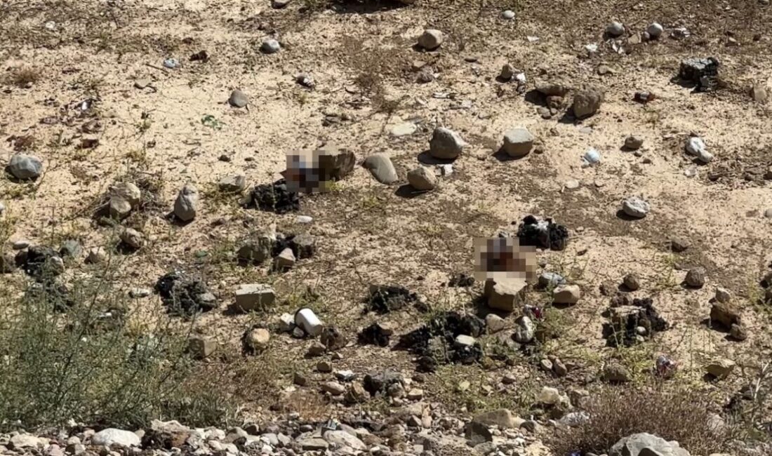 Hakkari’nin Yüksekova ilçesine bağlı Esenyurt Mahallesi’nde TOKİ konutlarının yanındaki yeni