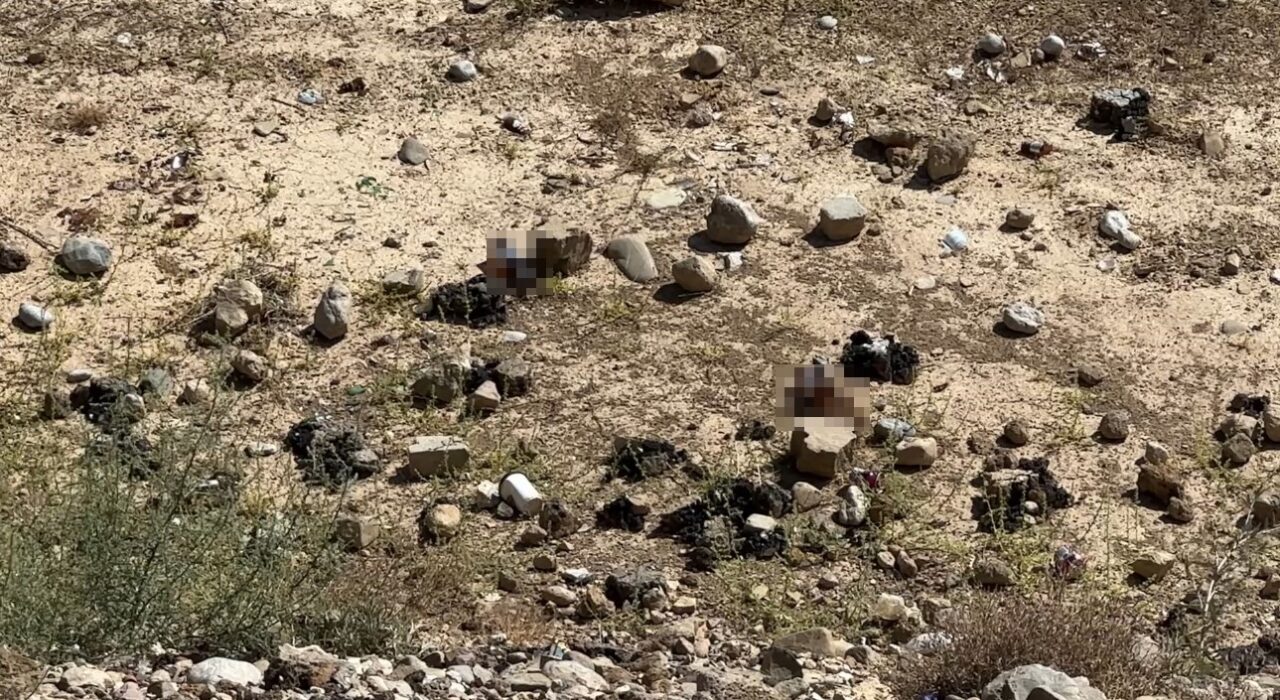 Hakkari’nin Yüksekova ilçesine bağlı Esenyurt Mahallesi’nde TOKİ konutlarının yanındaki yeni