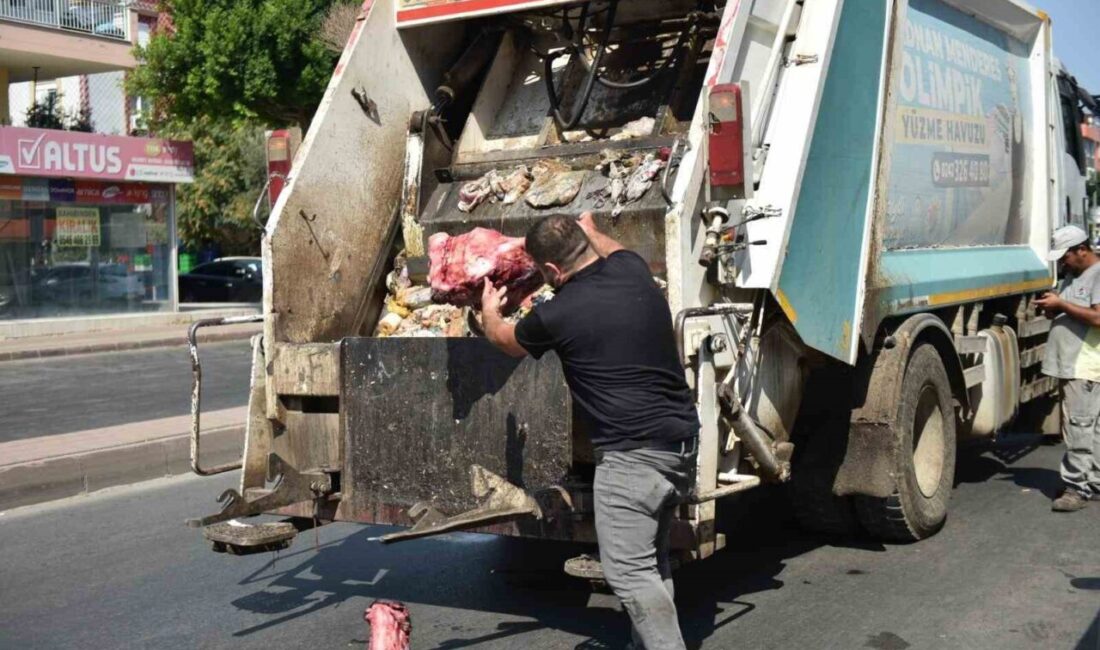 Kepez Belediyesi Zabıta Müdürlüğü ve İlçe Tarım ve Orman Müdürlüğü