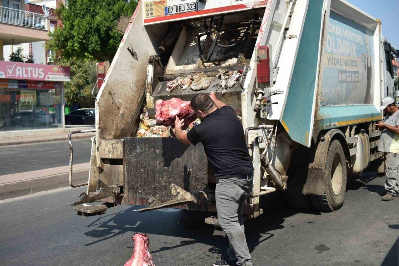 Kepez Belediyesi Zabıta Müdürlüğü ve İlçe Tarım ve Orman Müdürlüğü