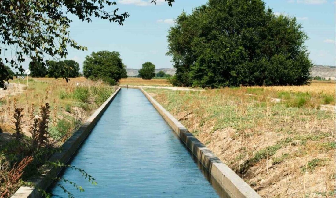 Yüreğir Ziraat Odası Başkanı Mehmet Akın Doğan, çiftçilerin mağduriyet yaşamaması