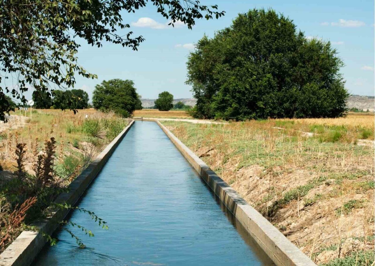 Yüreğir Ziraat Odası Başkanı Mehmet Akın Doğan, çiftçilerin mağduriyet yaşamaması