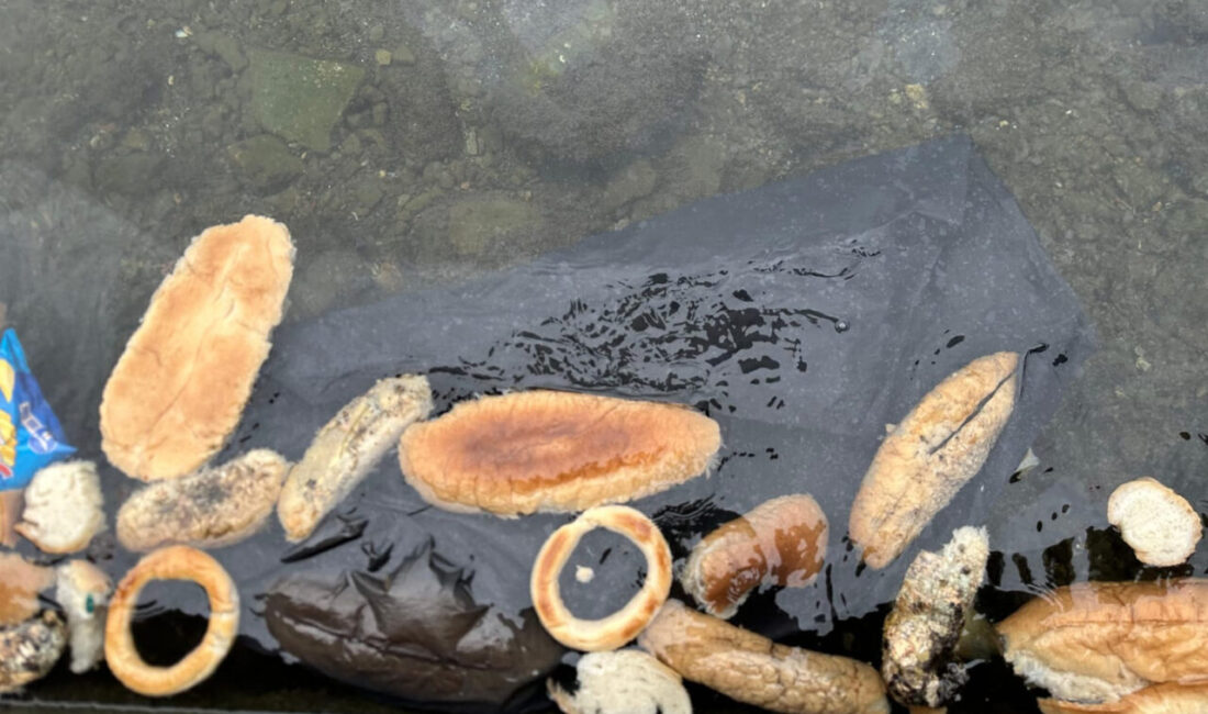 Rize’de kimliği belirsiz kişiler tarafından denize dökülen ekmek, simit ve