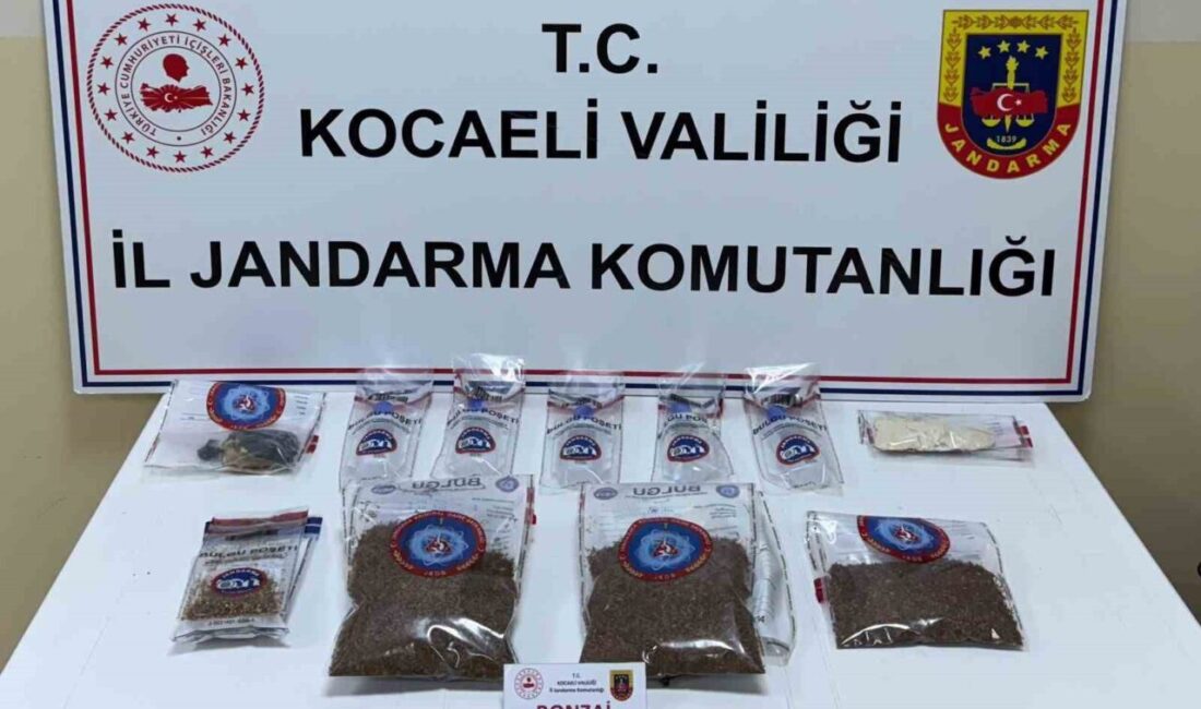 Kocaeli’nin İzmit ve Başiskele ilçelerinde jandarma narkotik timlerince zehir tacirlerine