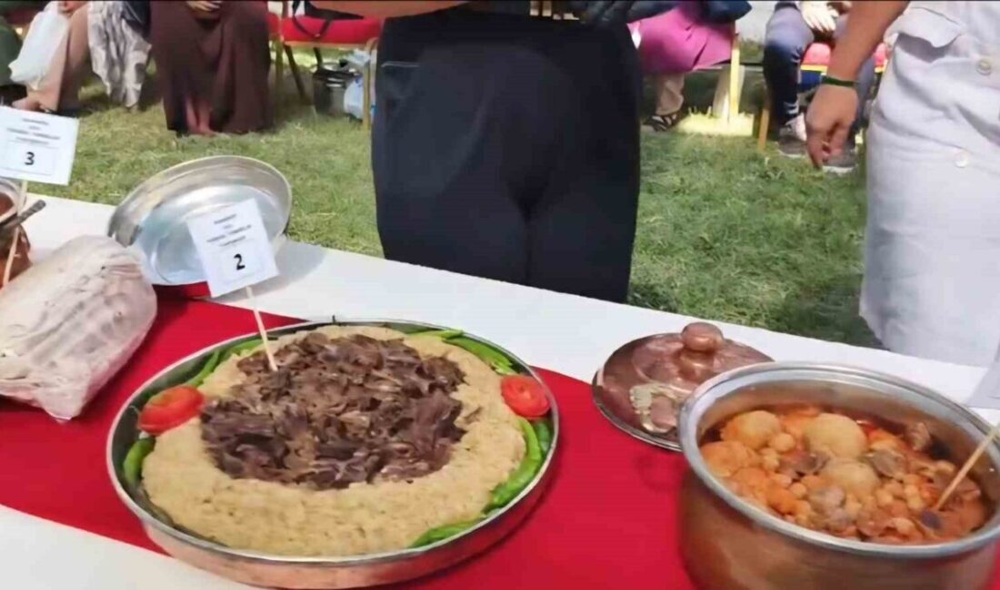 Malatya’nın Darende ilçesinde bu yıl 72’ncisi düzenlenen Darende Geleneksel Zengibar