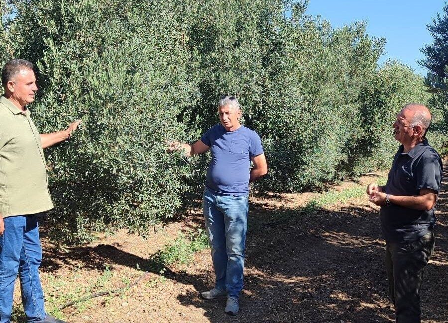 Türkiye’nin önemli tarım kentlerinden olan Aydın’ın Didim ilçesinde sahaya inen