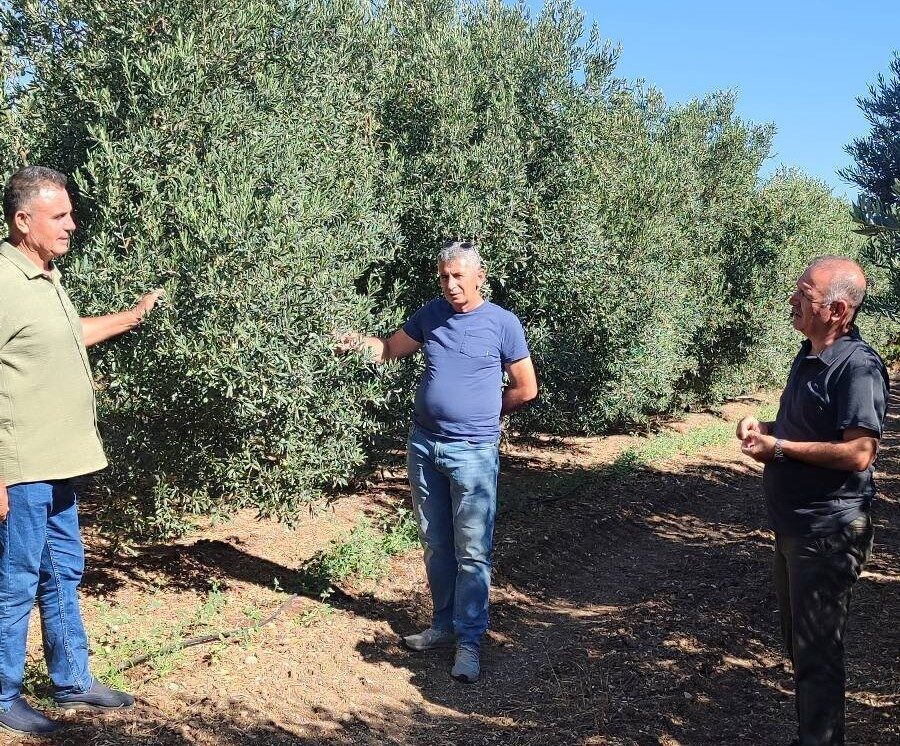 Türkiye’nin önemli tarım kentlerinden olan Aydın’ın Didim ilçesinde sahaya inen