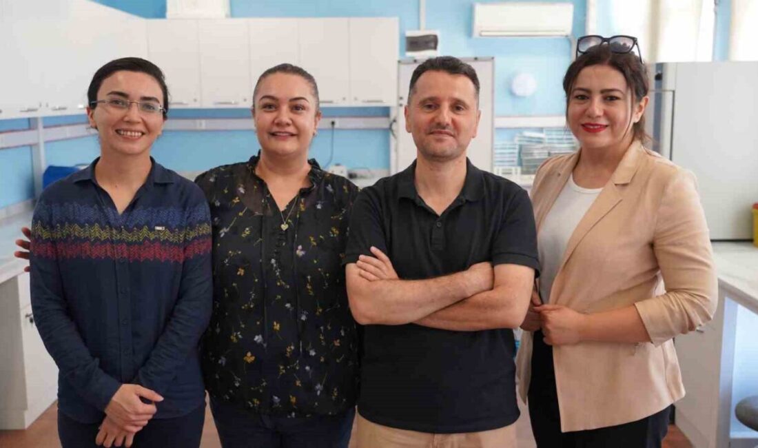 Karabük Üniversitesinde yürütülen TÜBİTAK destekli projeyle, zeytin yaprağında bulunan güçlü
