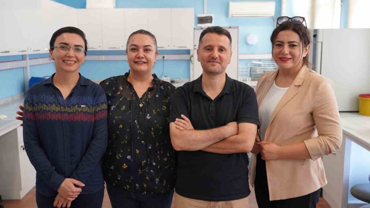 Karabük Üniversitesinde yürütülen TÜBİTAK destekli projeyle, zeytin yaprağında bulunan güçlü