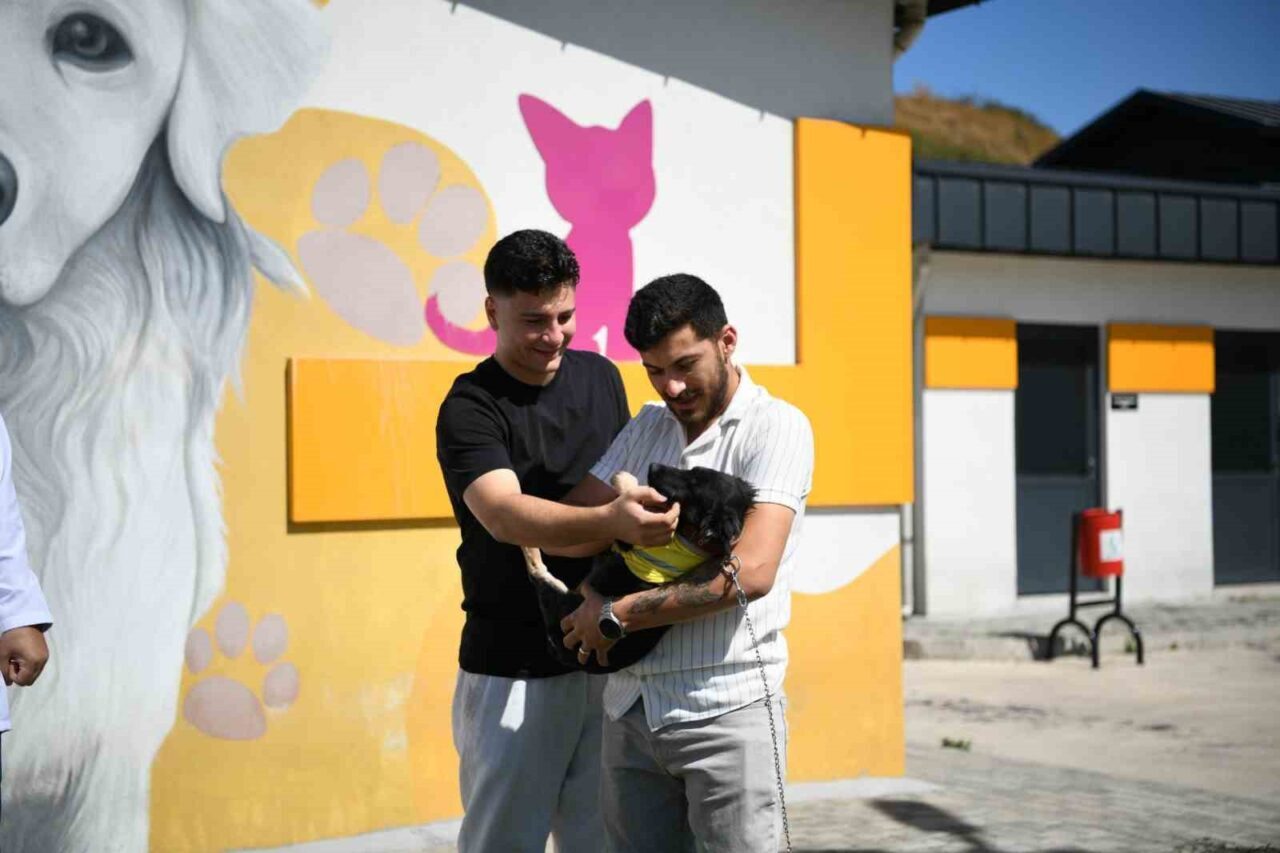 Kocaeli’nin Çayırova ilçesinde vücudu tamamen zifte bulanmış halde bulunduktan sonra