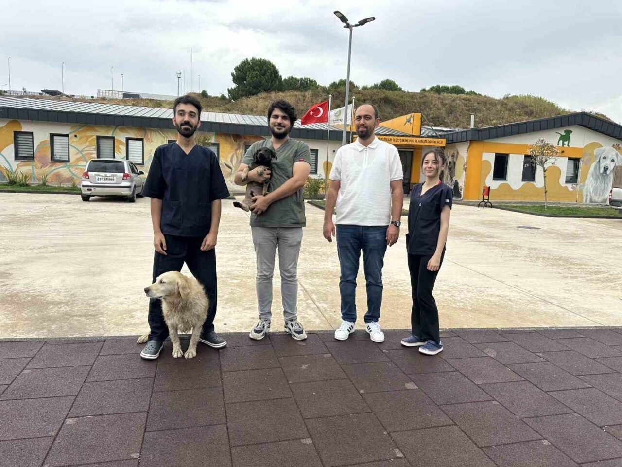 Çayırova’da zifte bulanmış halde bulunan yavru köpek, rehabilitasyon merkezinde 8