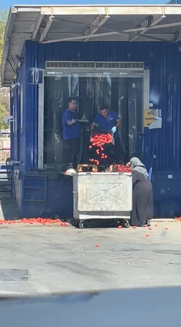 Ataşehir’de bulunan bir zincir markette kasalarca domatesin çalışanlar tarafından çöpe