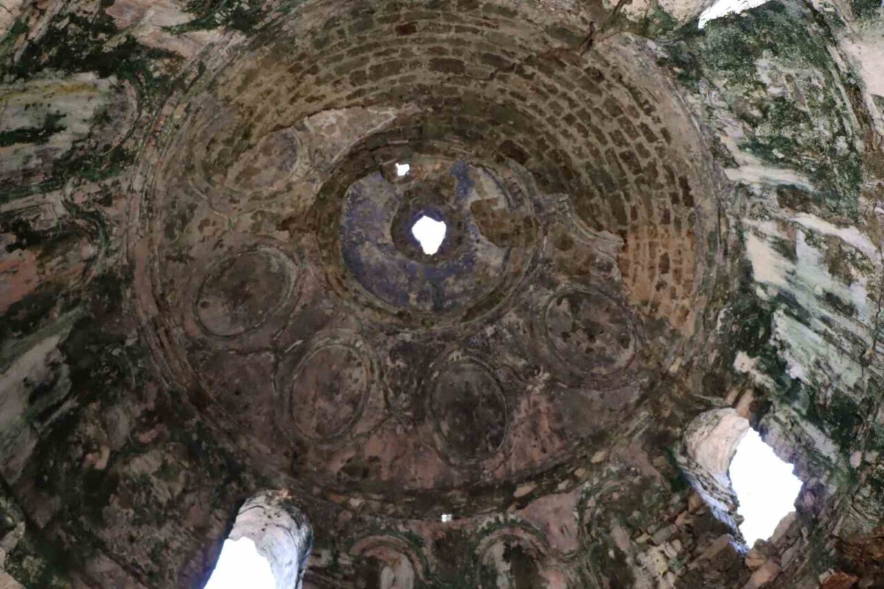 Birçok yaban hayatına ev sahipliği yapan Dilek Yarımadası Büyük Menderes