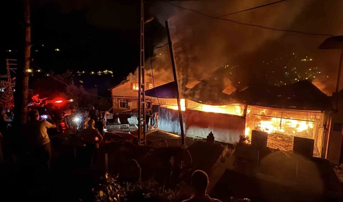 Zonguldak’ta halı yıkama dükkanından çıkan yangında 4 ev bir iş